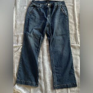 Judy Blue Wide Leg 18W EUC